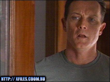 20 (425x319, 38 kБ...)