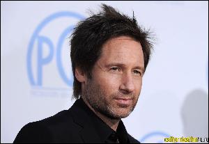 david_duchovny_016 (1000x689, 74 k...)