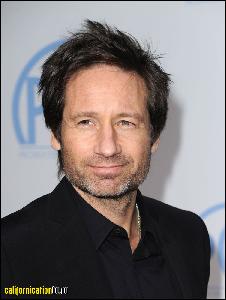 david_duchovny_017 (753x1000, 95 k...)