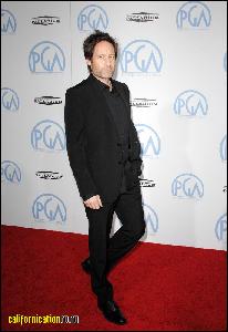 david_duchovny_022 (686x1000, 105 k...)