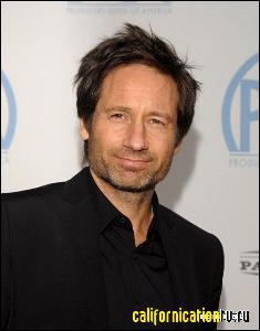 david_duchovny_027 (469x600, 41 k...)