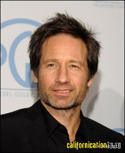 david_duchovny_028 (493x600, 49 k...)