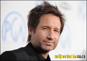 david_duchovny_029 (600x423, 37 k...)