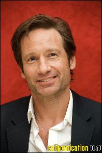 david_duchovny_032 (400x600, 48 k...)