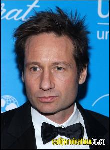 david_duchovny_046 (437x600, 55 k...)