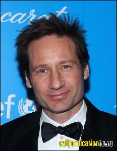 david_duchovny_047 (463x600, 52 k...)