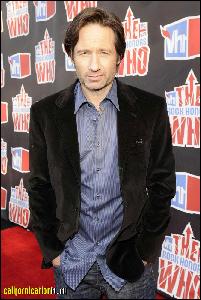 david_duchovny_054 (671x1000, 151 k...)