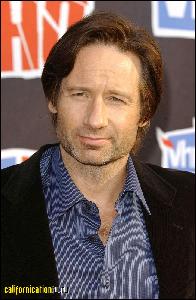 david_duchovny_055 (651x1000, 145 k...)