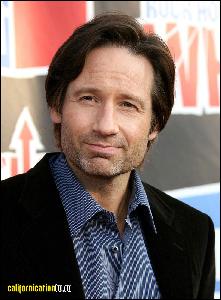 david_duchovny_058 (735x1000, 136 k...)