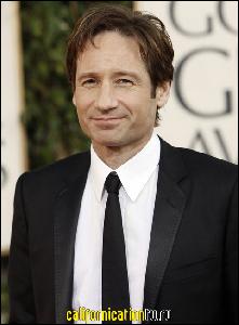 david_duchovny_074 (480x653, 47 k...)