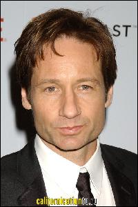 david_duchovny_076 (480x719, 68 k...)