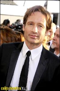 david_duchovny_077 (480x720, 65 k...)