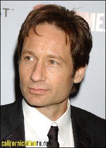 david_duchovny_078 (480x666, 63 k...)