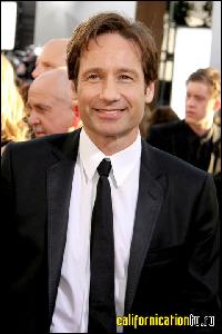 david_duchovny_079 (480x720, 59 k...)