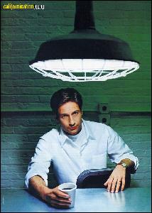 david_duchovny_098 (800x1123, 168 k...)