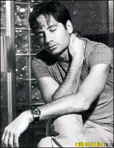 david_duchovny_103 (625x816, 117 k...)