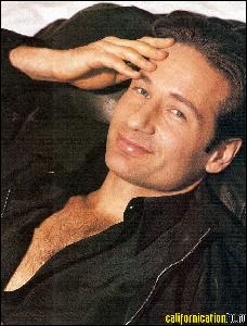 david_duchovny_106 (644x850, 141 k...)