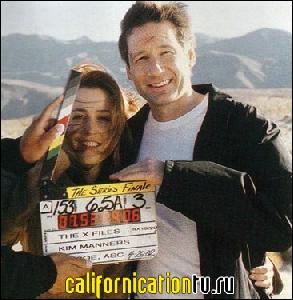 david_duchovny_142 (366x375, 44 k...)