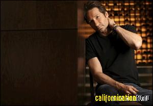 david_duchovny_151 (594x411, 35 k...)