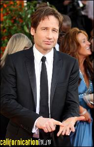 david_duchovny_191 (384x600, 58 k...)