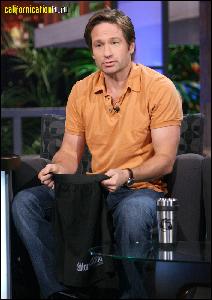 david_duchovny_209 (707x1000, 131 k...)