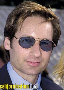 david_duchovny_219 (350x496, 48 k...)