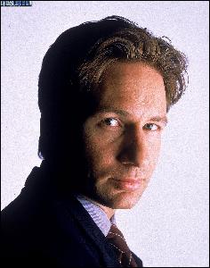 www.thexfiles.in_promo_009 (1022x1300, 432 k...)