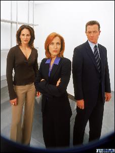 www.thexfiles.in_promo_041 (982x1300, 218 k...)