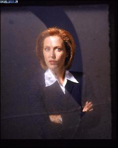 www.thexfiles.in_promo_052 (1040x1300, 278 k...)