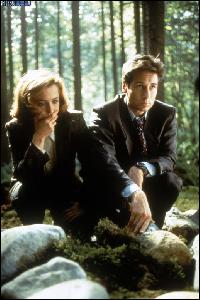 www.thexfiles.in_season1_019 (518x779, 133 k...)