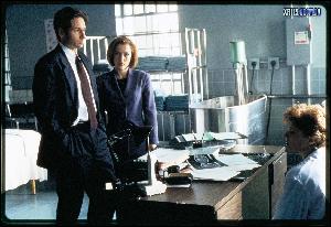 www.thexfiles.in_season5_007 (1392x954, 457 k...)