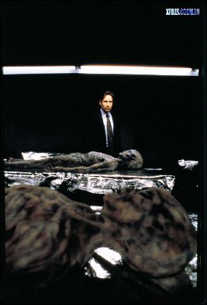 xfiles.cdom.ru_season5_014 (955x1402, 286 kБ...)