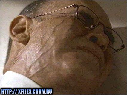 25 (425x319, 41 kБ...)